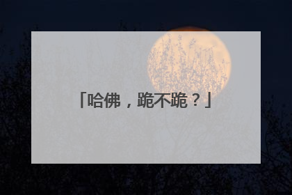 哈佛，跪不跪？